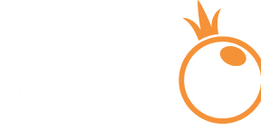 Payaro logo